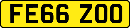 FE66ZOO