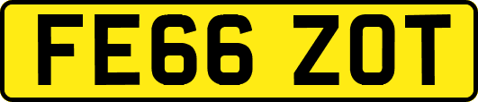 FE66ZOT