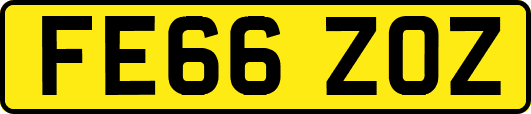FE66ZOZ