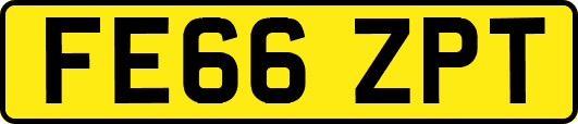 FE66ZPT