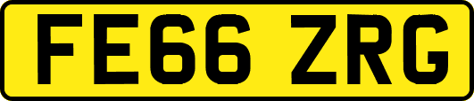FE66ZRG