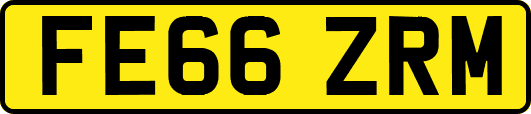 FE66ZRM