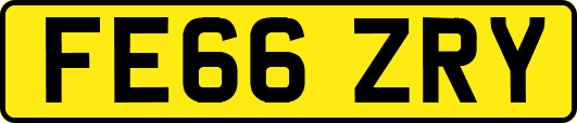 FE66ZRY