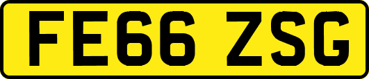FE66ZSG
