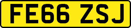 FE66ZSJ