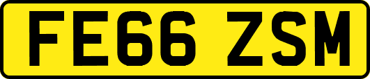 FE66ZSM