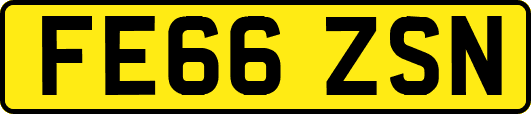 FE66ZSN
