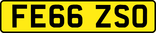 FE66ZSO