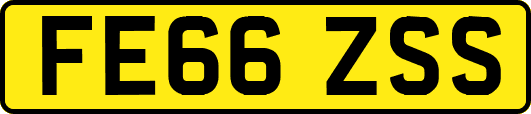 FE66ZSS
