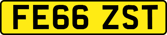 FE66ZST