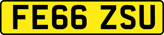 FE66ZSU