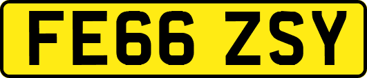 FE66ZSY