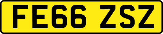 FE66ZSZ