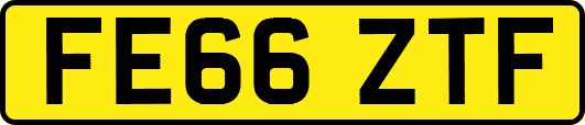 FE66ZTF