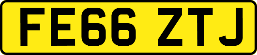 FE66ZTJ