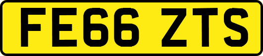FE66ZTS