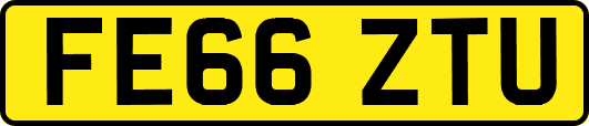 FE66ZTU