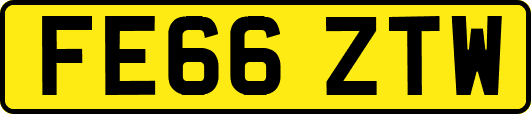 FE66ZTW
