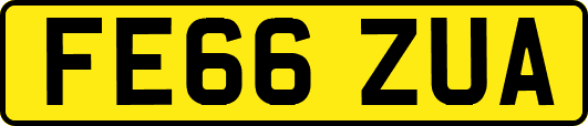FE66ZUA