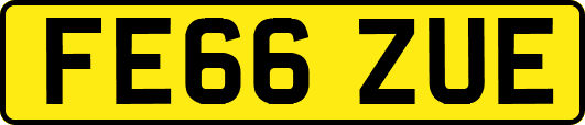 FE66ZUE