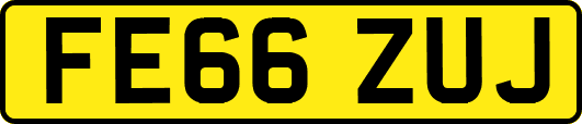 FE66ZUJ
