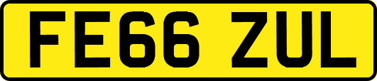 FE66ZUL