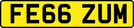 FE66ZUM
