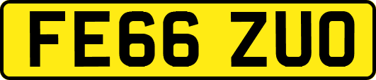 FE66ZUO