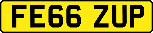 FE66ZUP