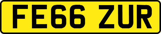 FE66ZUR