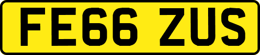 FE66ZUS