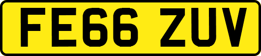 FE66ZUV