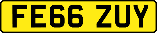 FE66ZUY