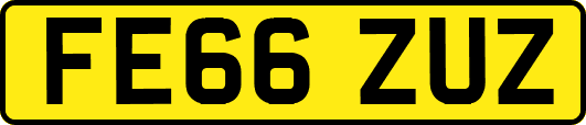 FE66ZUZ