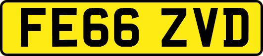 FE66ZVD