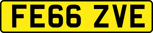 FE66ZVE