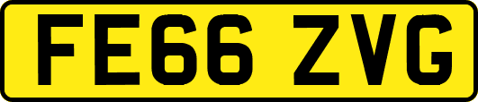 FE66ZVG