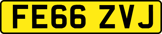 FE66ZVJ