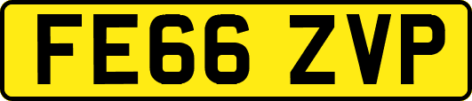 FE66ZVP