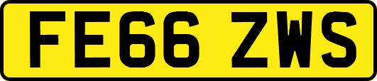 FE66ZWS