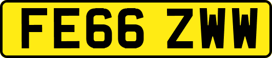 FE66ZWW