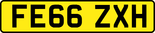 FE66ZXH