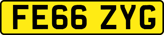 FE66ZYG