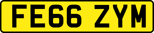 FE66ZYM