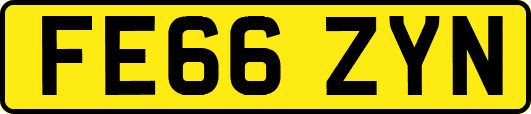 FE66ZYN