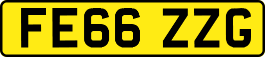 FE66ZZG