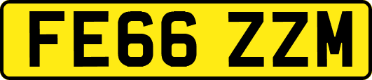 FE66ZZM
