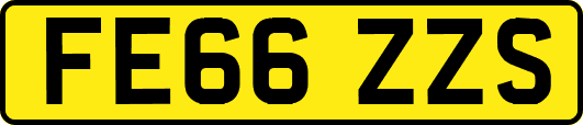 FE66ZZS