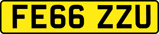 FE66ZZU