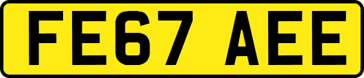 FE67AEE